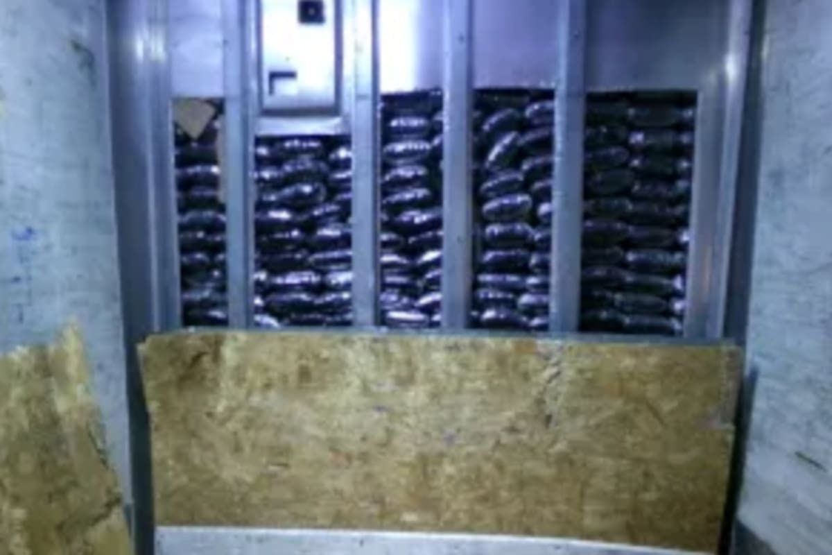 Decomisan 16.5 toneladas de drogas valoradas en más de 111 millones de dólares en garitas de San Diego