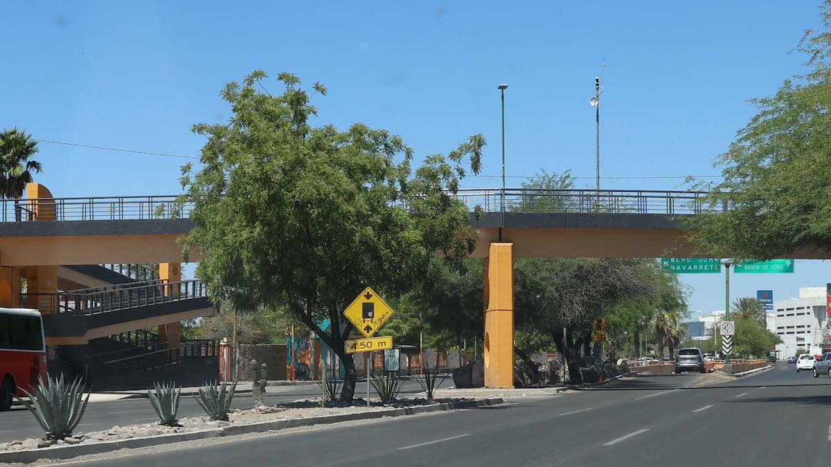 Paso peatonal en Luis Encinas frente a la Unison será prioritario para personas con movilidad limitada: así funcionará