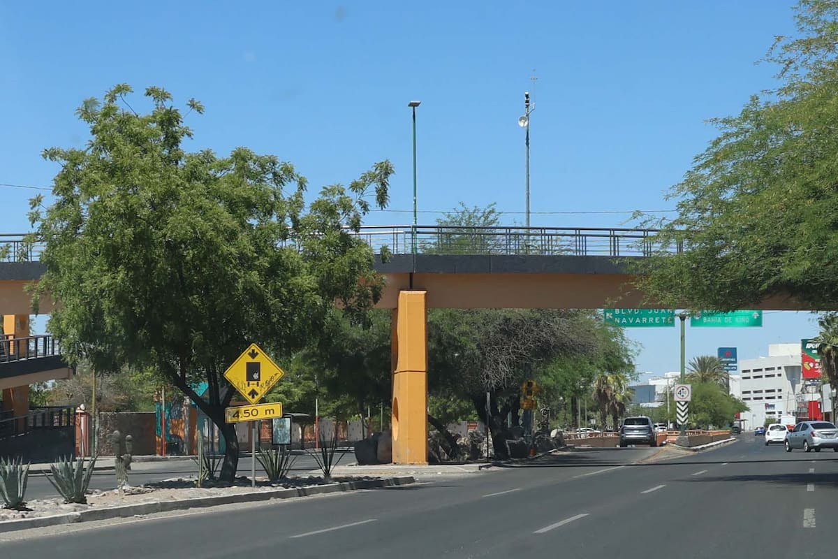 Paso peatonal en Luis Encinas frente a la Unison será prioritario para personas con movilidad limitada: así funcionará