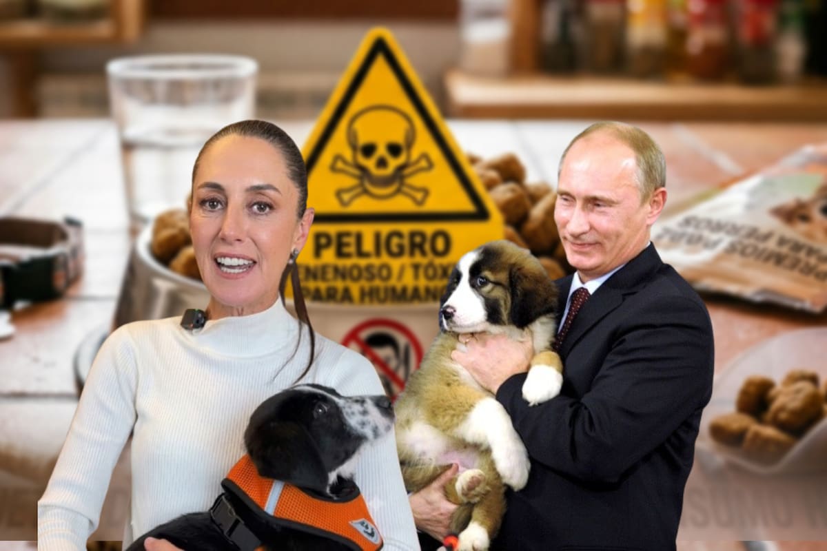 Mientras en México envenenar perros es cada vez más penado dependiendo del estado, en Rusia los vacíos legales provocan que pueda quedar impune