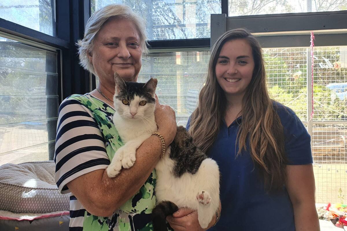 Encuentra hogar gatito que fue regresado en varias ocasiones al refugio animal