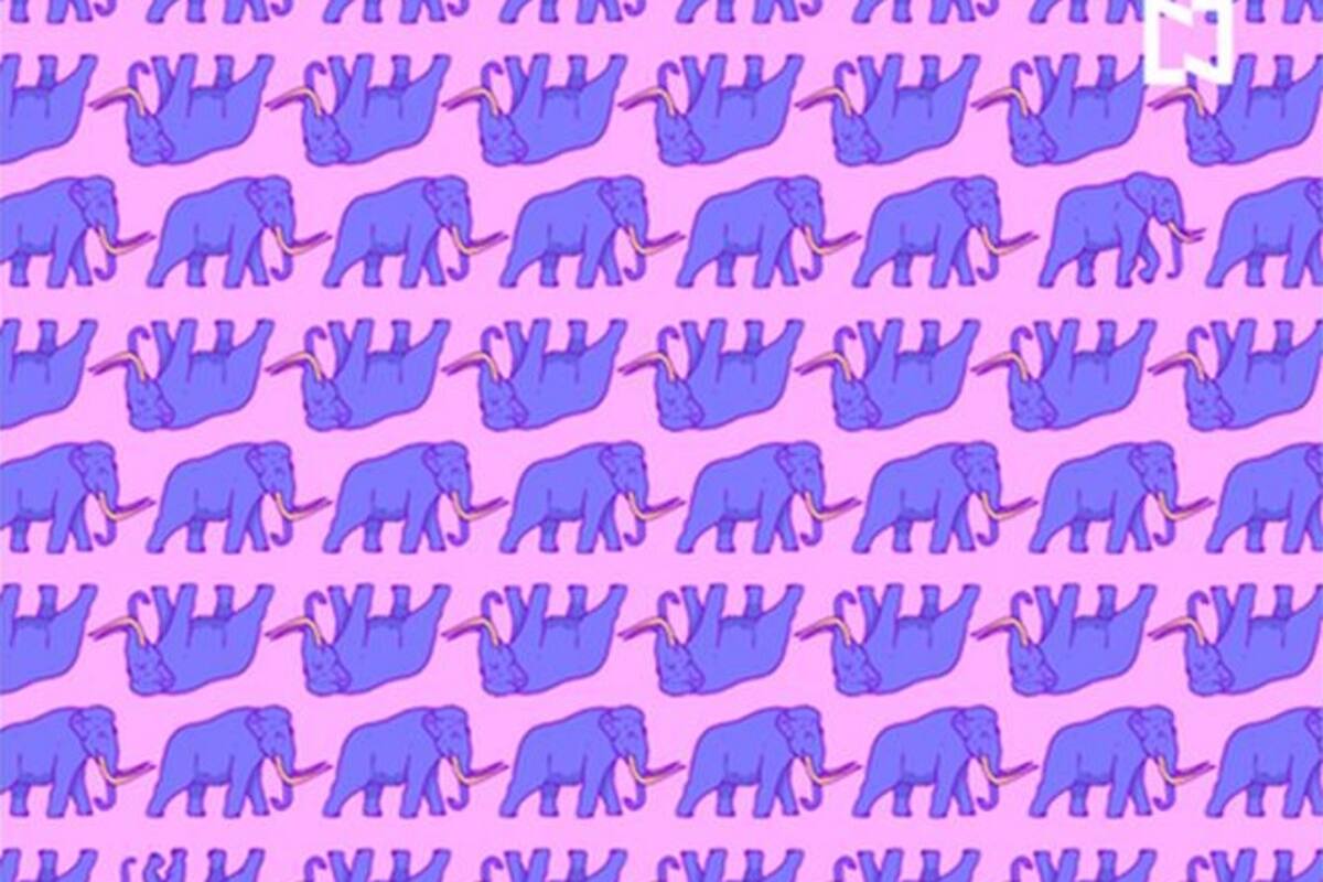 Reto viral: encuentra los elefantes en medio de los mamuts