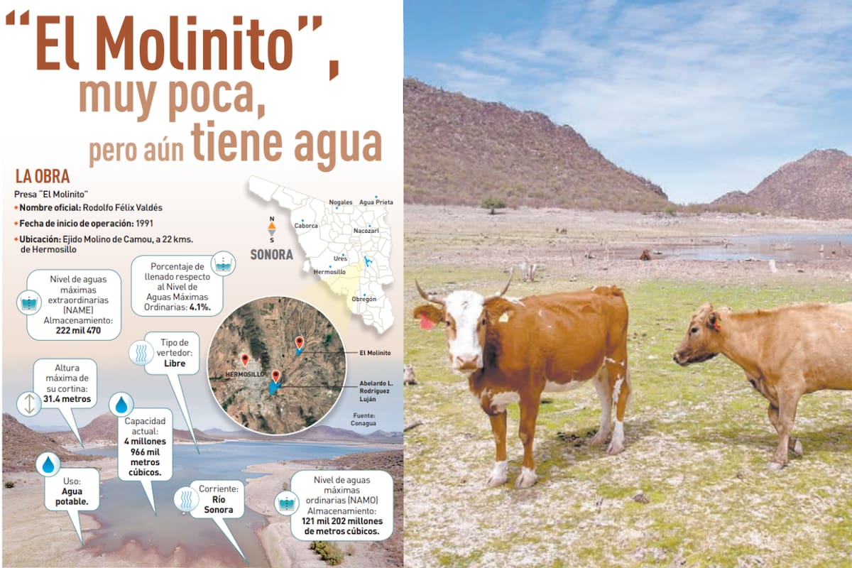 “El Molinito”, muy poca, pero aún tiene agua