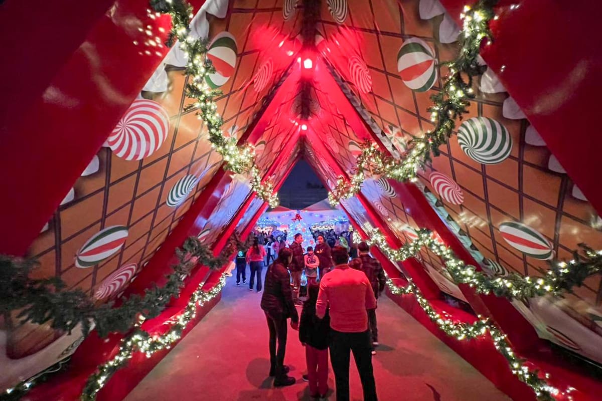 Abre Florivilla sus puertas en el Morelos