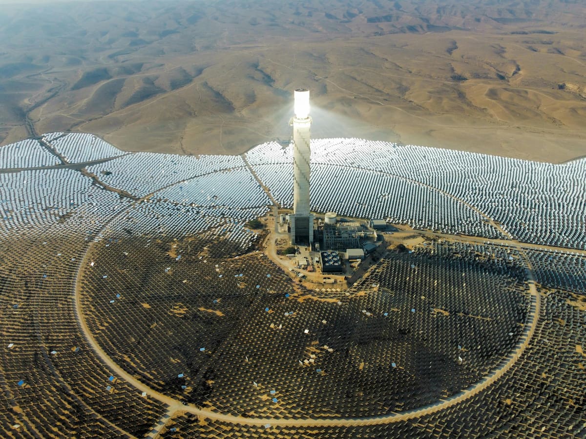 Organizaciones ambientalistas documentaron la muerte de aves afectadas por los rayos solares concentrados durante el funcionamiento de la instalación. Foto: Pexels