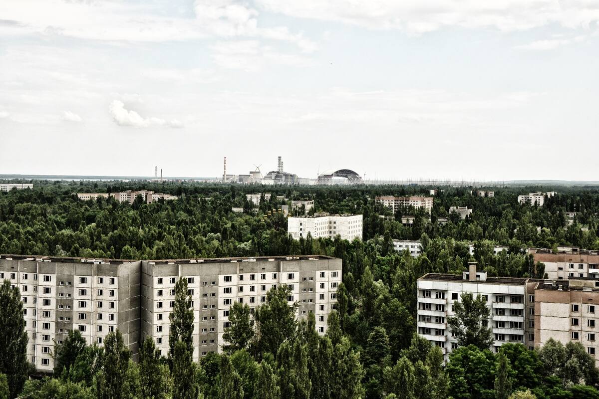 El misterio de los caballos salvajes de Chernobyl