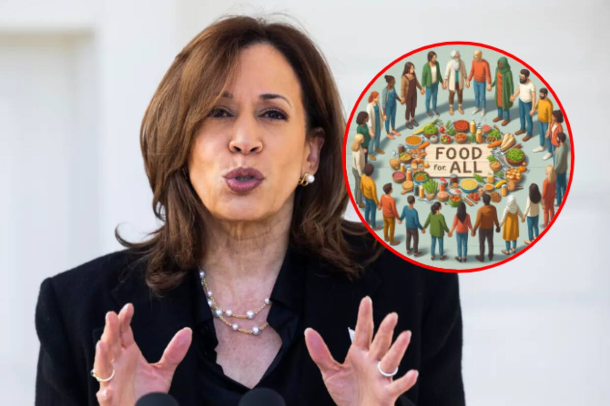 ¿El plan de Harris sobre el aumento los precios realmente ayudaría a los consumidores estadounidenses?