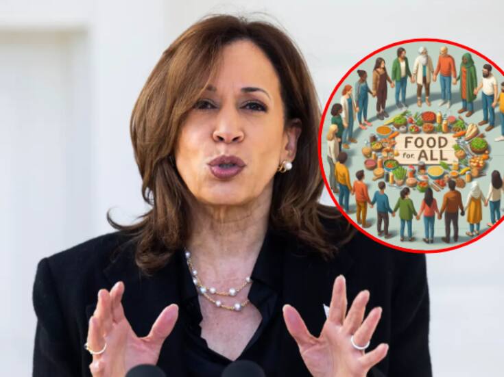 ¿El plan de Harris sobre el aumento los precios realmente ayudaría a los consumidores estadounidenses?