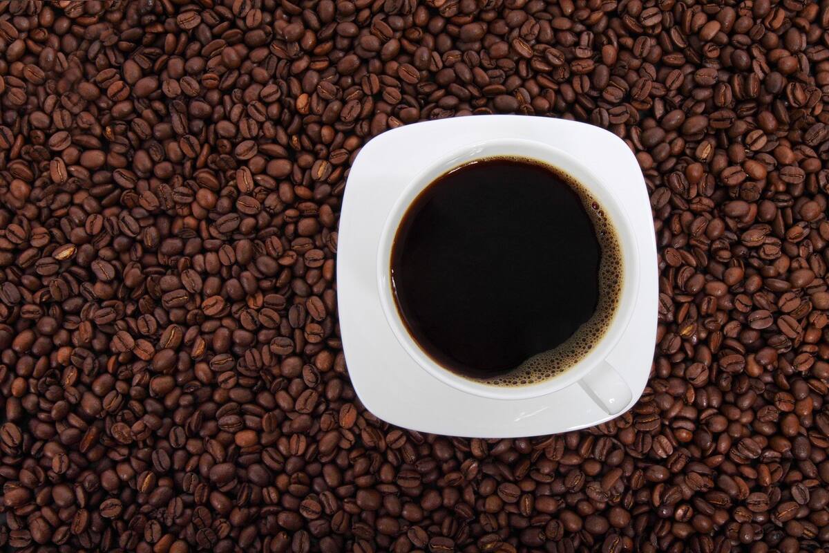 Día Internacional del Café: Lo que debes saber sobre la bebida favorita de muchos