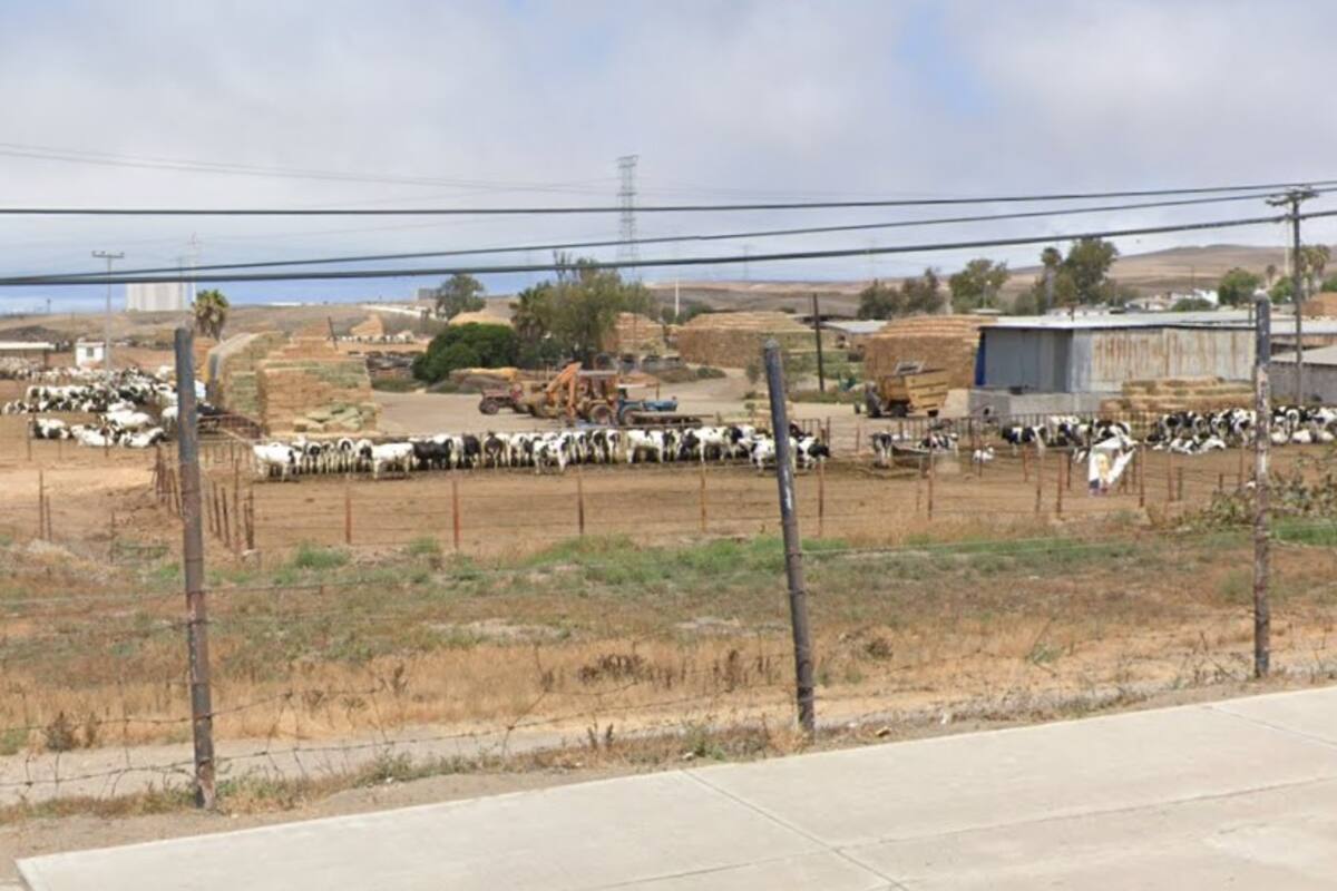 Nuevo parque de diversiones podría establecerse en la colonia Reforma de Rosarito