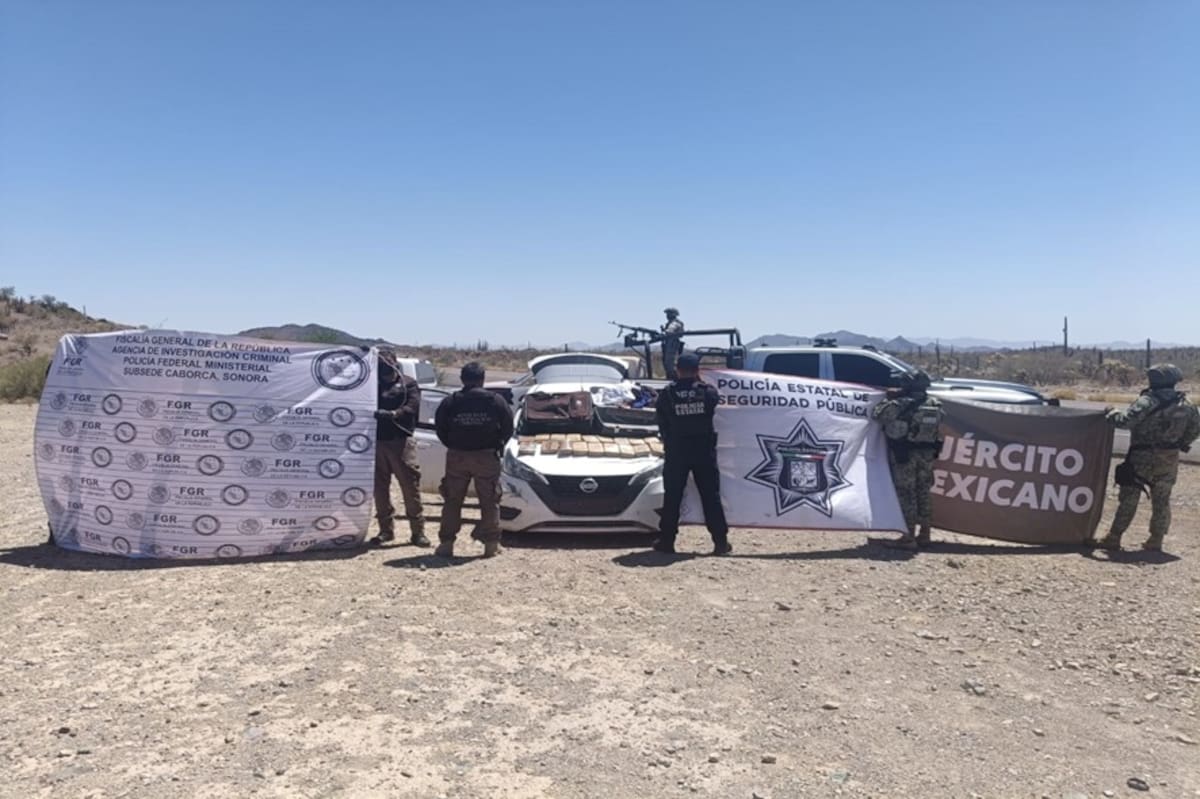 Foto: Ejército Mexicano.