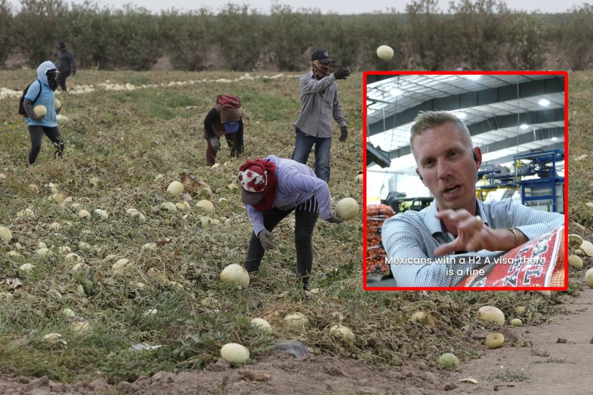Granjero de EU dice que los ciudadanos no aguantan los trabajos por eso contrata mexicanos: “Si no fuera por ellos estaríamos en problemas”