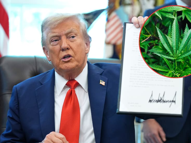 Una orden de Trump cambia las reglas del cannabis y hunde sus acciones en Bolsa, inversionistas reaccionan con ventas tras confirmarse que la reclasificación no significa legalización en Estados Unidos