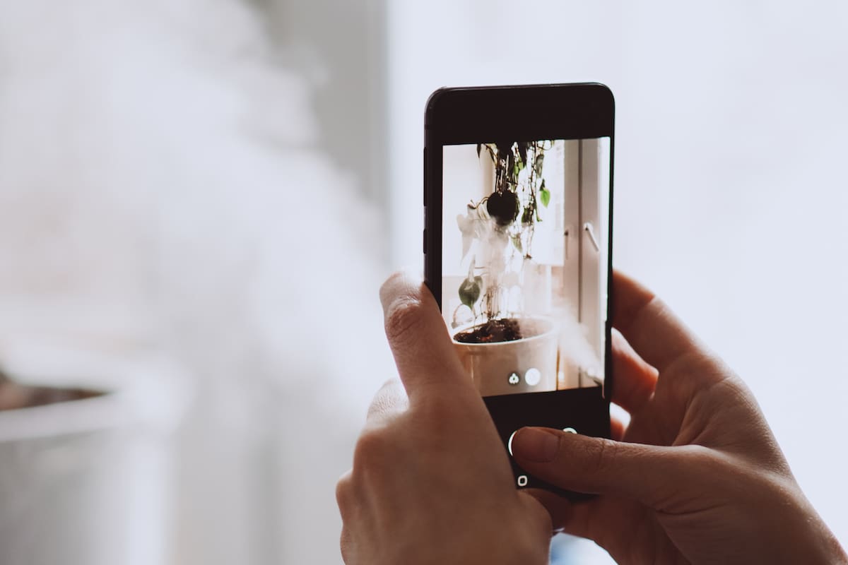 No tienes que eliminar las redes sociales: 4 formas más saludables de usarlas y reducir el estrés