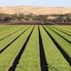 Productores agrícolas de México inician paros y bloqueos en distintos estados para exigir programas eficaces ante la peor crisis del campo en más de cuatro décadas