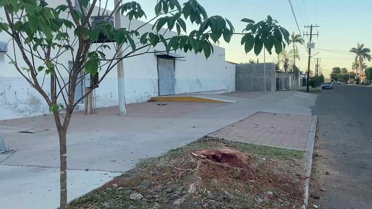 Foto: Mayra Echeverría.