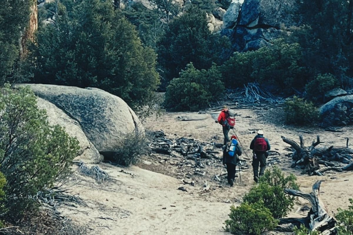 Solicitan búsqueda aérea para localizar a Noé en la Sierra de San Pedro Mártir