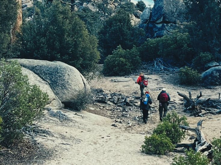 Solicitan búsqueda aérea para localizar a Noé en la Sierra de San Pedro Mártir