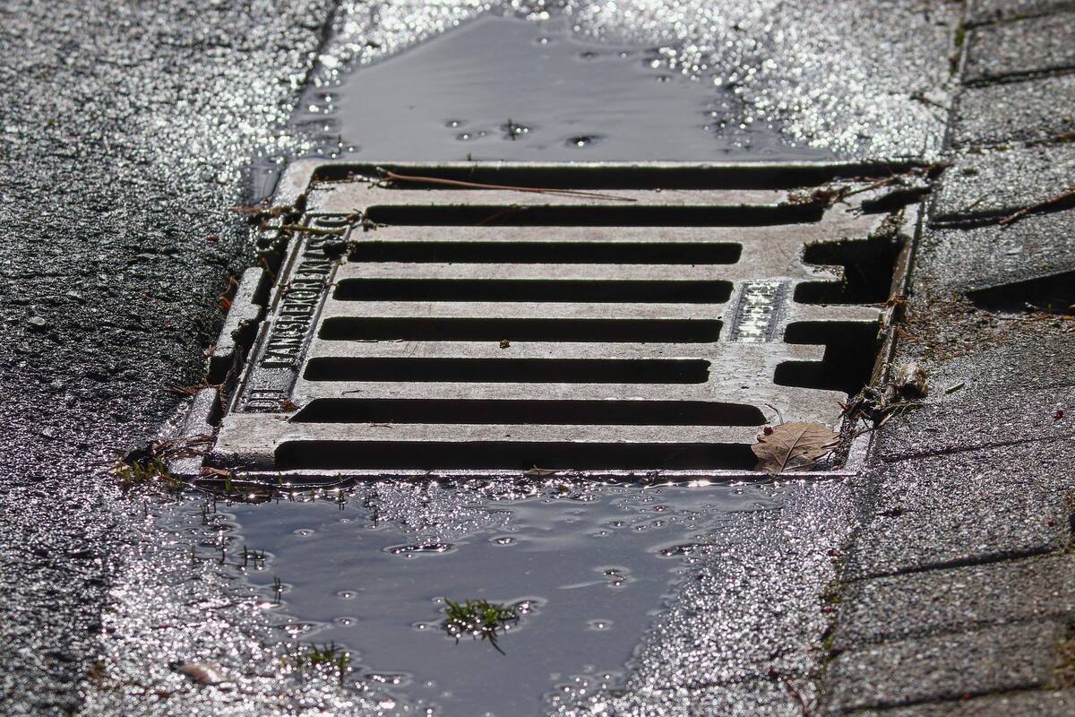 Detectan poliomielitis en aguas residuales de Londres; autoridades británicas en alerta