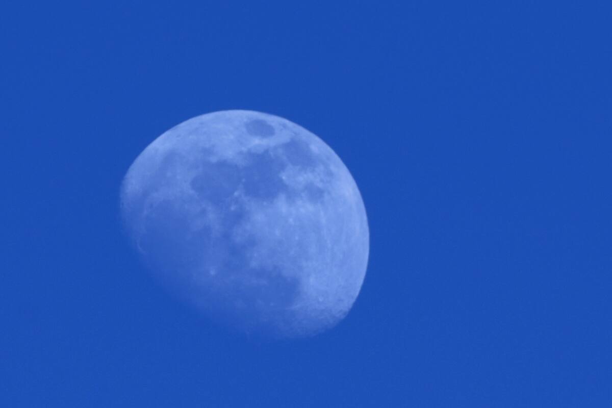 ¡No te la puedes perder! ‘Luna azul' aparecerá en Halloween