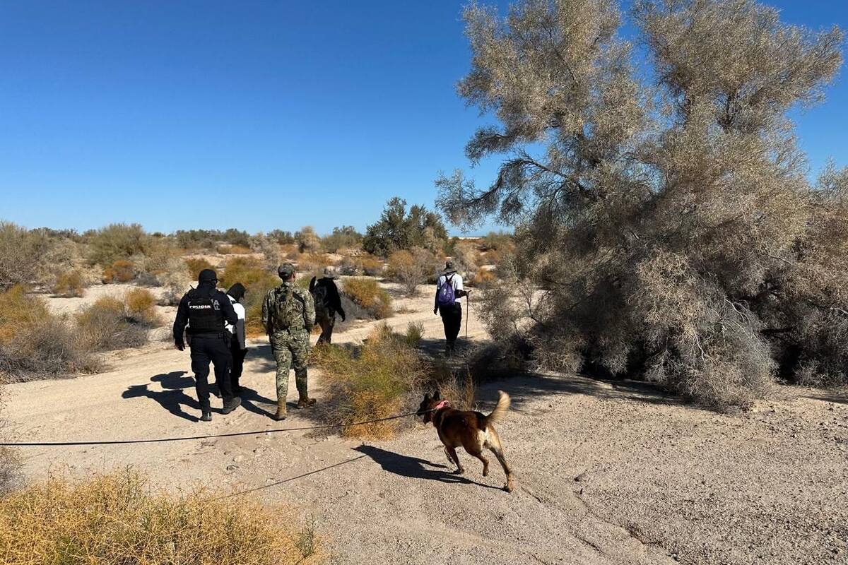 Despliegan operativo de búsqueda de personas desaparecidas en San Felipe