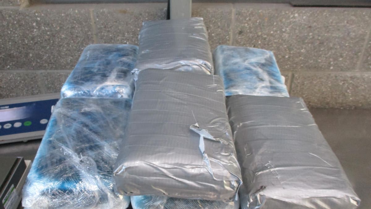 Detienen en garita de San Ysidro intento de tráfico de cocaína valuada en 1.15 millones de dólares