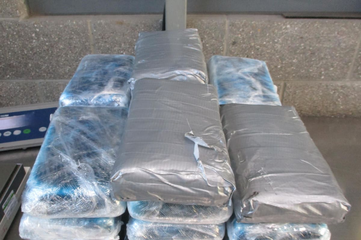 Detienen en garita de San Ysidro intento de tráfico de cocaína valuada en 1.15 millones de dólares