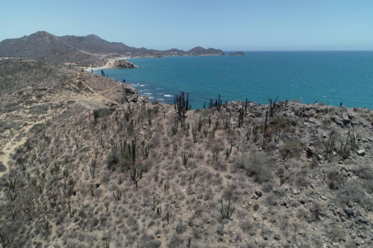 Grupo Concordia extiende sus servicios, ahora cerca del Mar de Cortés