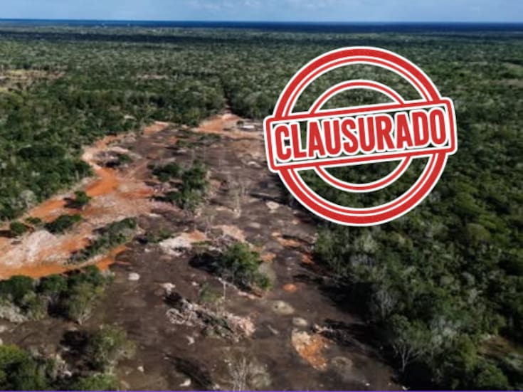 Clausuran predio en Yucatán tras devastar más de 56,000 m² de selva para tirar gallinaza y abrir caminos ilegales
