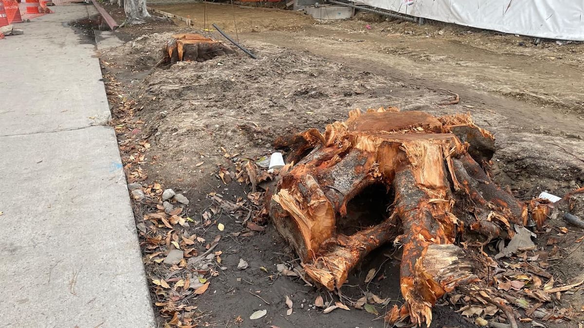 El área denunciada en zona Río mantiene actividad constructiva sin presencia visible de sellos de clausura Foto: Michelle Castillo