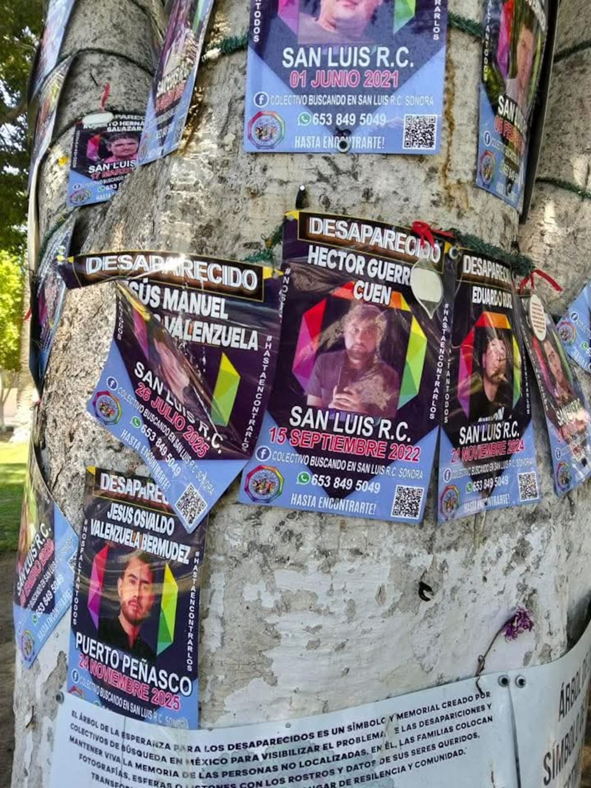 Foto: Cortesía