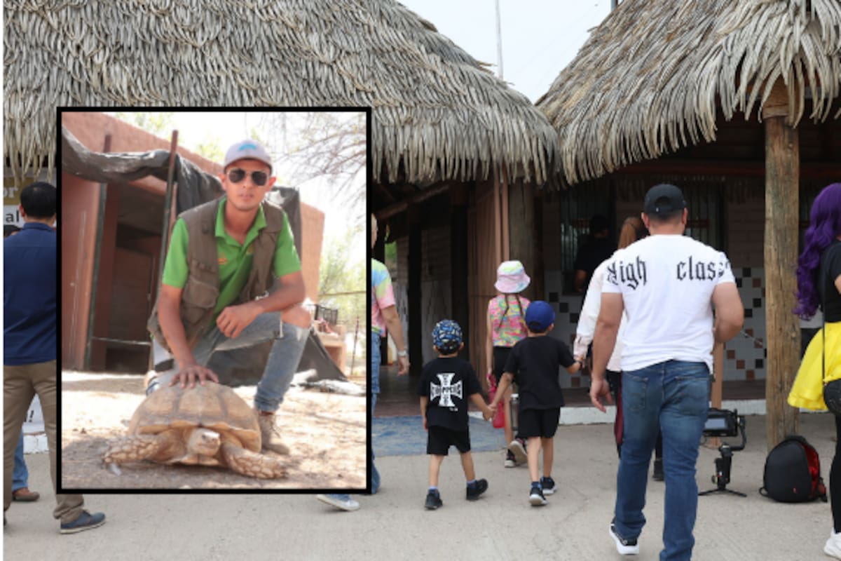 Habrá actividades con reptiles en el Centro Ecológico