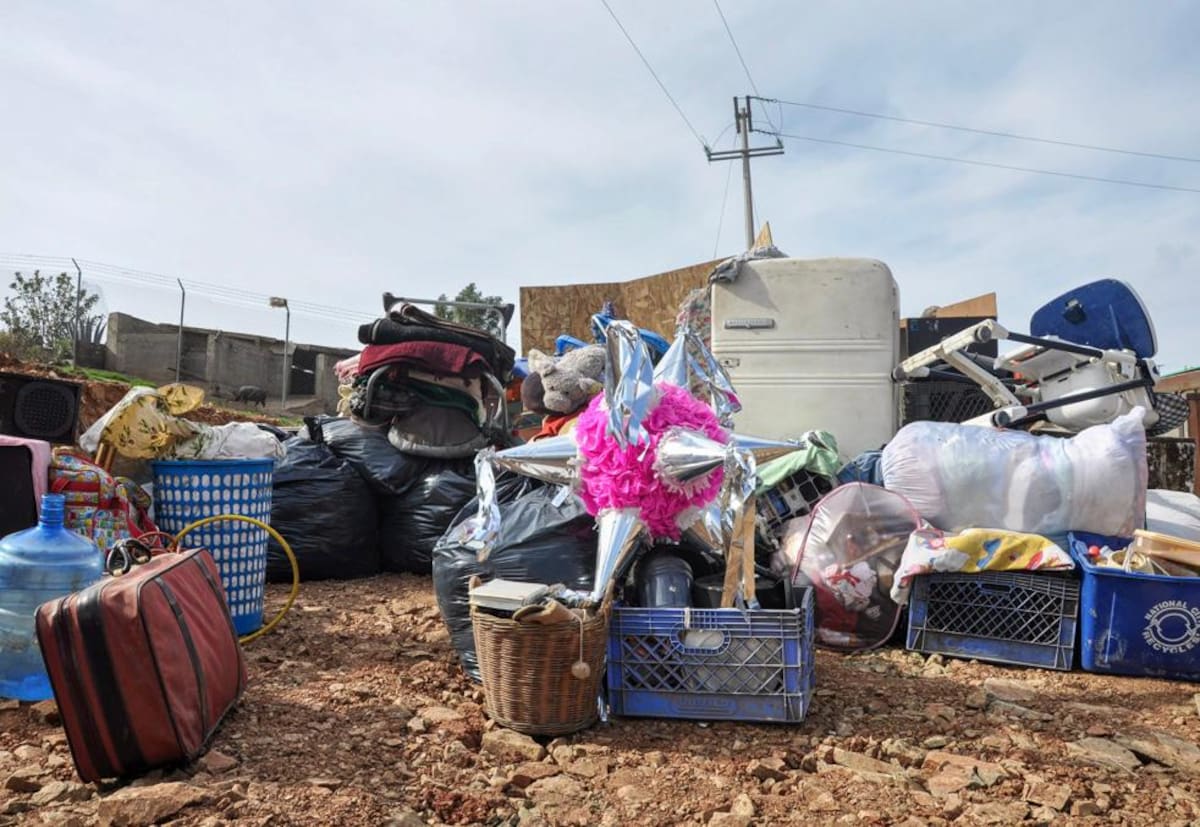 La artista reúne trece proyectos que recorren dos décadas de trayectoria. Foto: Cortesía