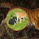 Hombre muere en recinto de tigres en un zoo de Reino Unido