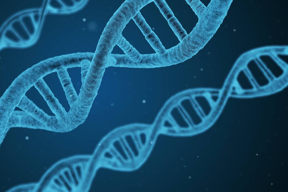 Coronavirus: El biólogo que cree que en los genes está escrita la clave para enfrentar futuras epidemias