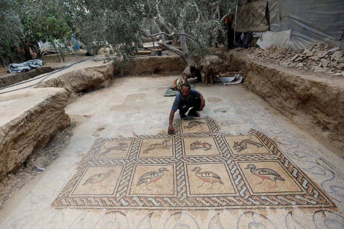 FOTOS: Agricultor de Gaza desentierra un mosaico de la época bizantina cuando estaba plantando árboles