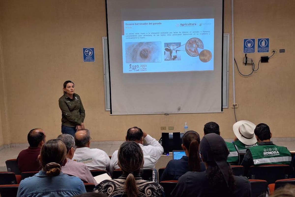 Comunidad ganadera de Sonora se capacita sobre cómo actuar ante posibles casos de gusano barrenador