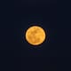 La noche perfecta para pedirle al universo: Luna Llena en Sagitario 2026