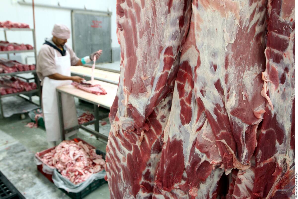 Aumenta en agosto producción de carne de res en el Estado