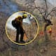 Más de 100 combatientes trabajan para controlar el incendio forestal en Tarachi