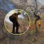 Más de 100 combatientes trabajan para controlar el incendio forestal en Tarachi