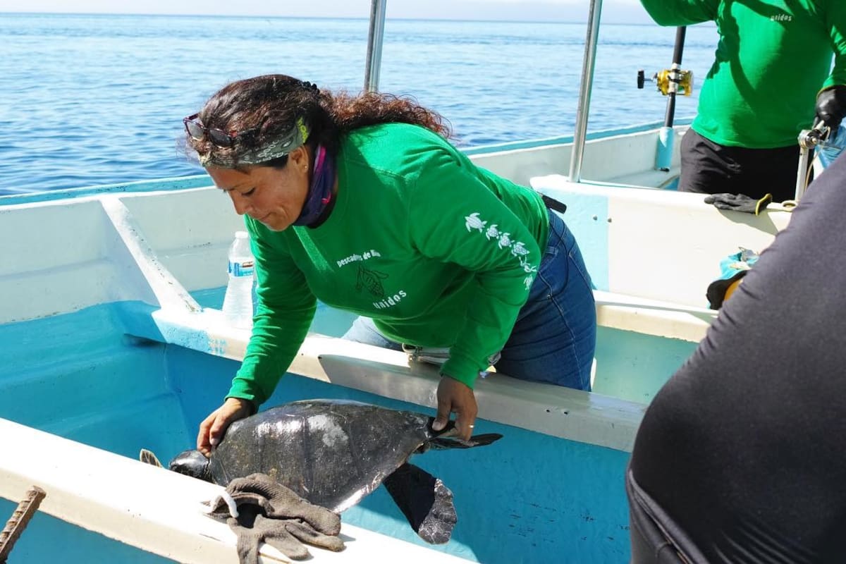 Hacen comunidad en torno al documental “El llanto de las tortugas”