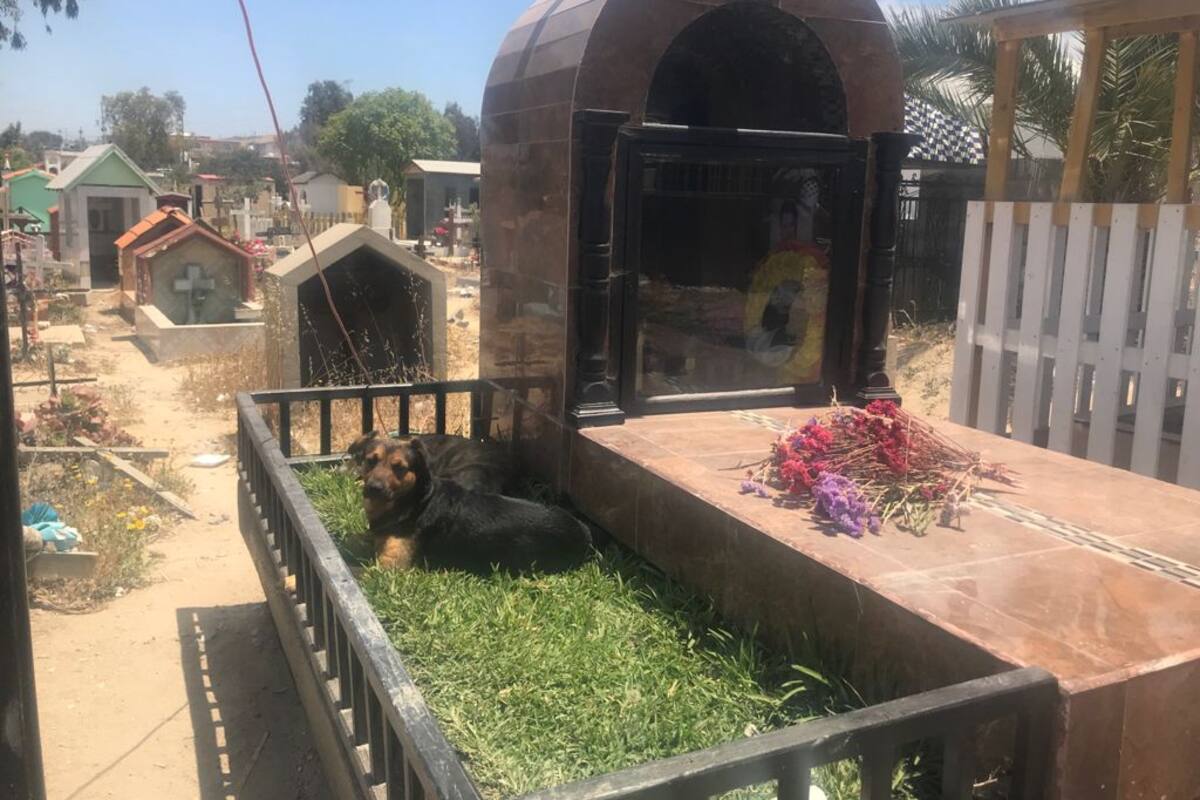 Panteones de Rosarito no cerrarán el 10 de mayo