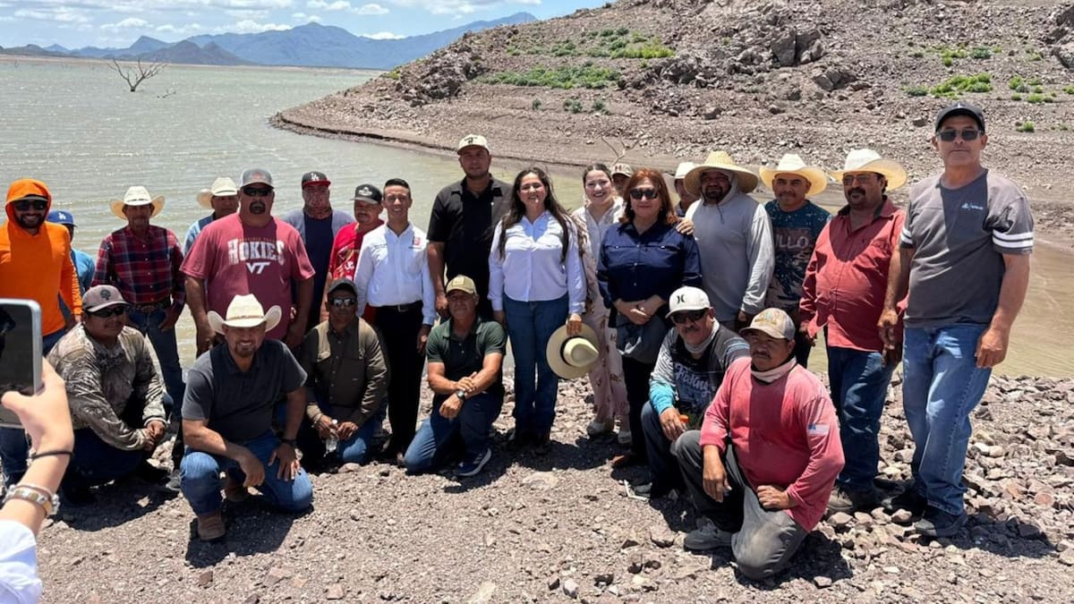 Gobierno de Sonora fortalece la pesca en embalses siembra de crías de tilapia; Celida López