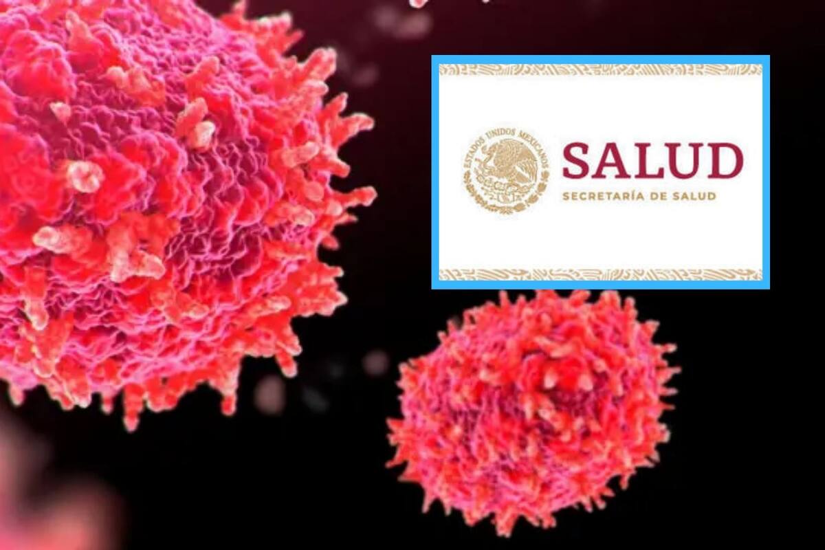 Secretaría de Salud afirma que la variante más peligrosa de Mpox aún no llega a México