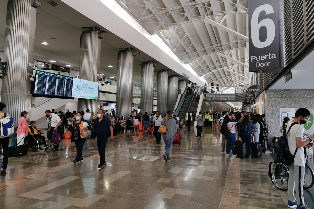 Profeco recuperó 277 mil pesos por retrasos y cancelaciones de vuelos en AICM por fuertes lluvias