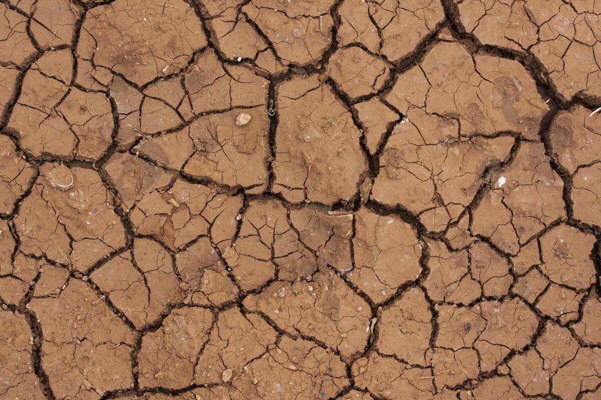 Los cráteres explosivos en Siberia: un misterio que la ciencia intenta resolver