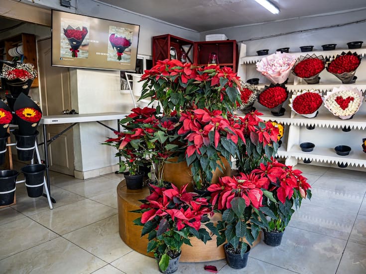 Aumentan las ventas de Nochebuenas