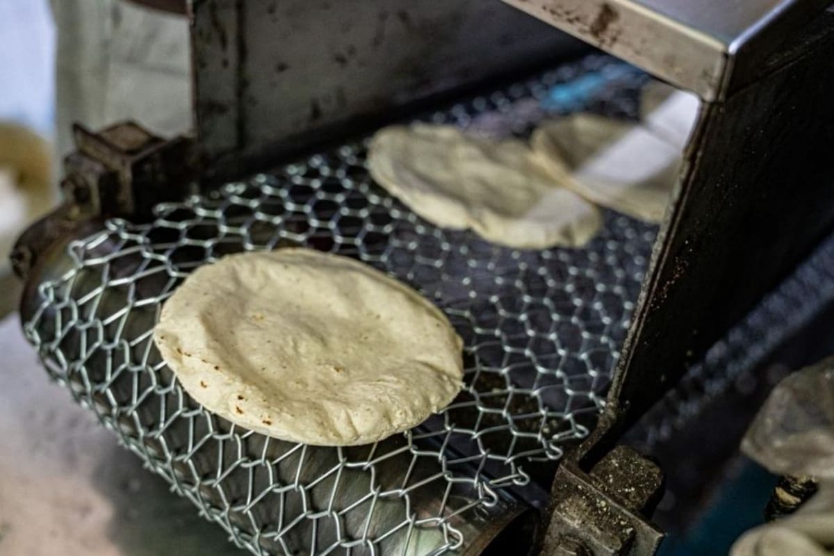 Productores de tortilla en México amenazan con romper el acuerdo firmado con el gobierno federal tras detectar competencia desleal e incumplimiento en la entrega de apoyos prometidos
