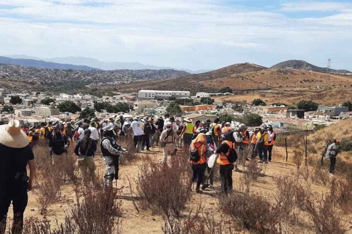 Realizarán mega búsqueda de personas en San Quintín